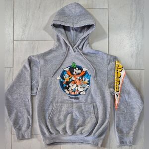 Disneyland Park 2023 Retro Graphic Grey Hooded Sweatshirt Size US Small